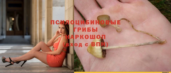 таблы Алексин