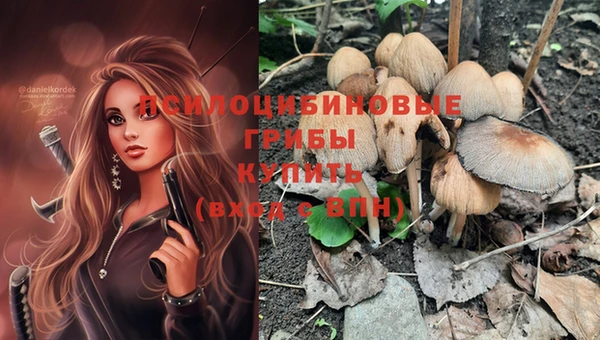 соль курить ск Алексеевка