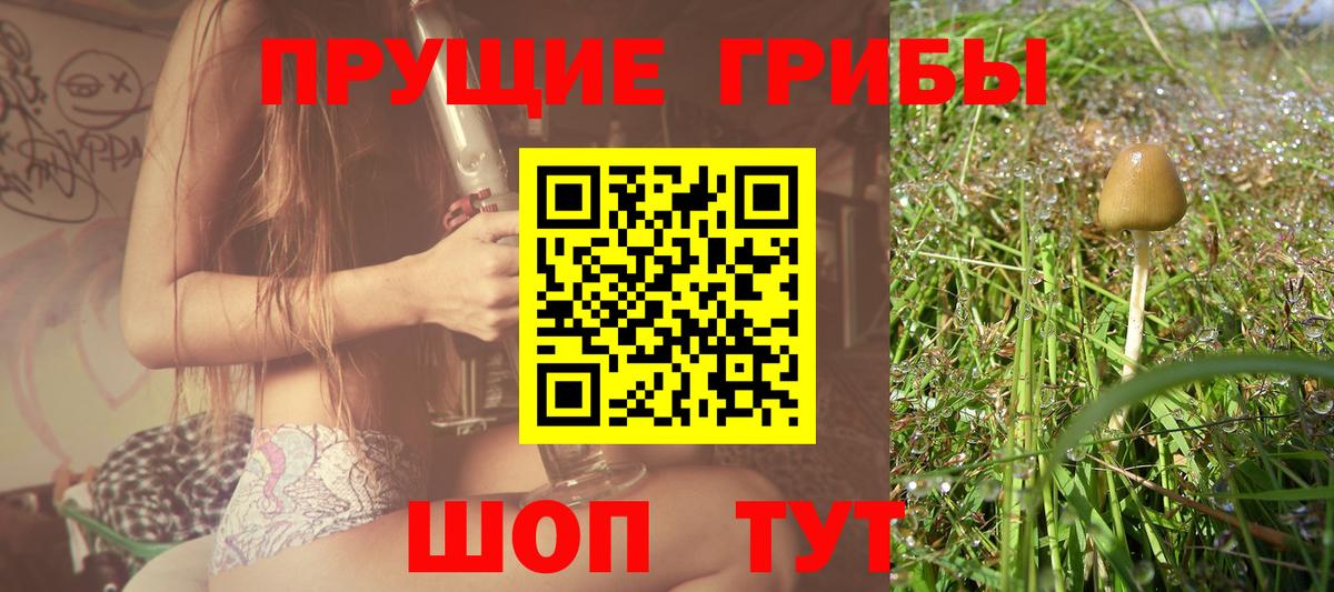 Псилоцибиновые грибы прущие грибы  Галлюциногенные грибы Magic Shrooms  Вход с VPN  Евпатория 